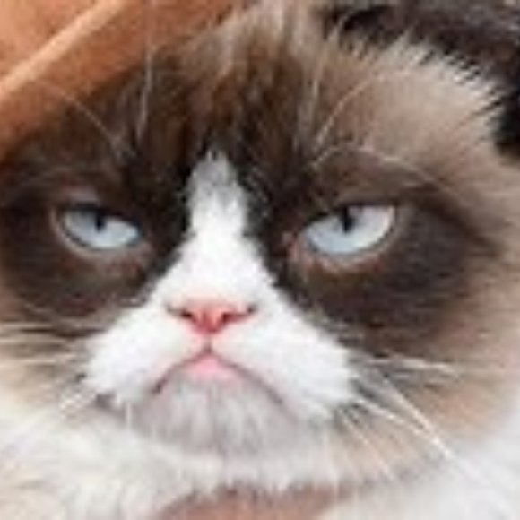 2024 - The Year of Love - Picture 10 of 13